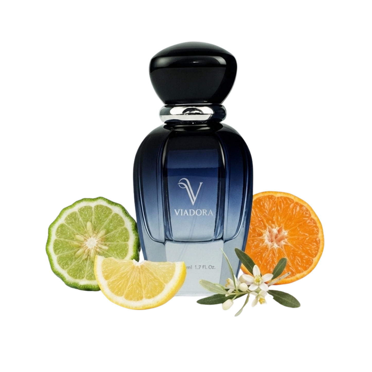 E203 Armani Black Code