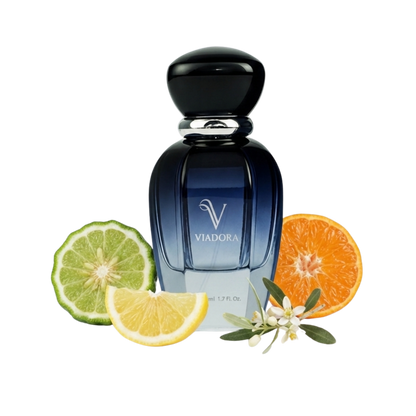 E203 Armani Black Code