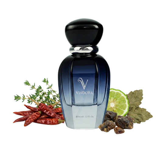 N102 Love Don't Be Shy